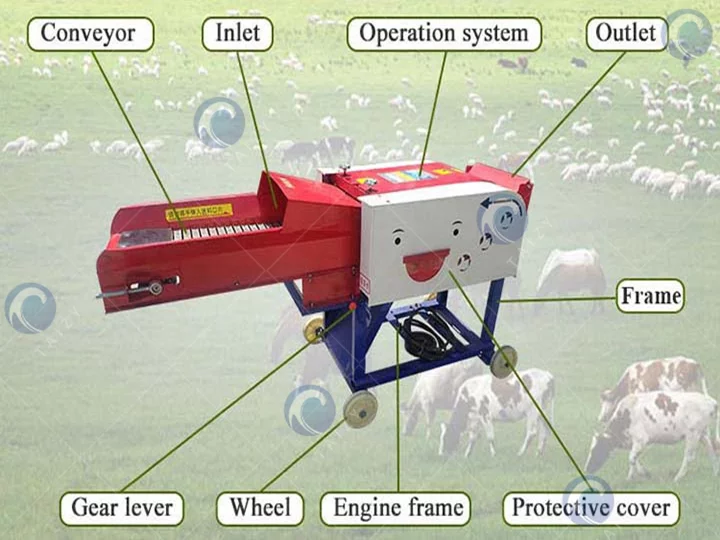 Structure of the hay chaff cutter machine
