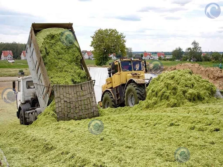 farm