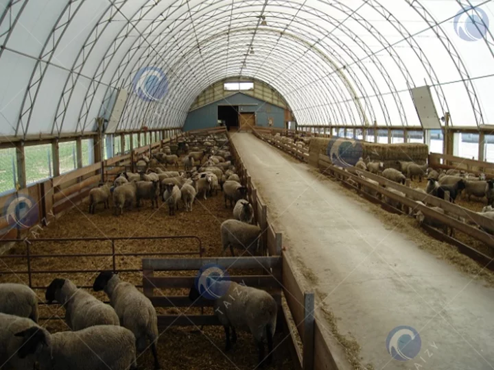 Sheep Shed
