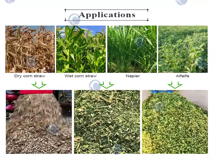 application scope