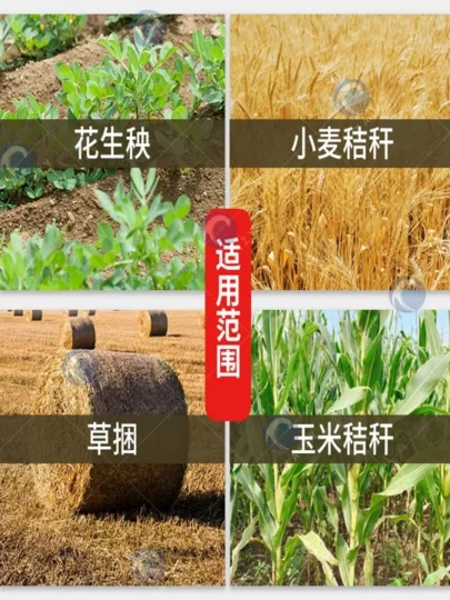 application scope